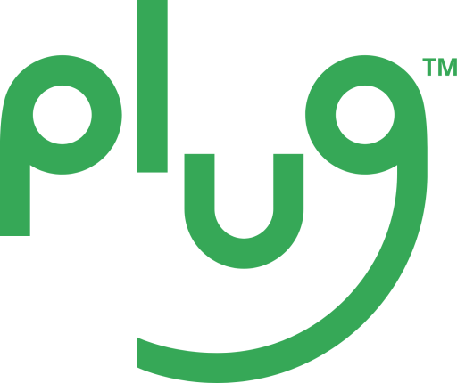 Plug