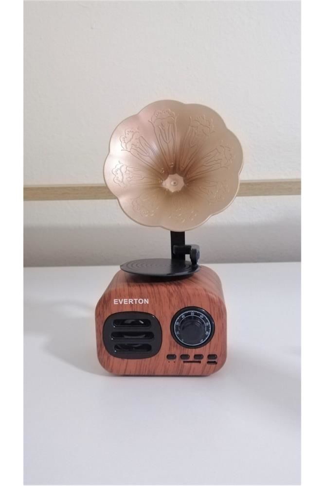 Everton RT-705BT Bluetooth-TF Card FM Nostaljik Radyo