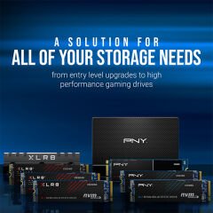 PNY CS900 250GB 535MB-500MB/s 2.5'' SATA 3 SSD (SSD7CS900-250-RB)