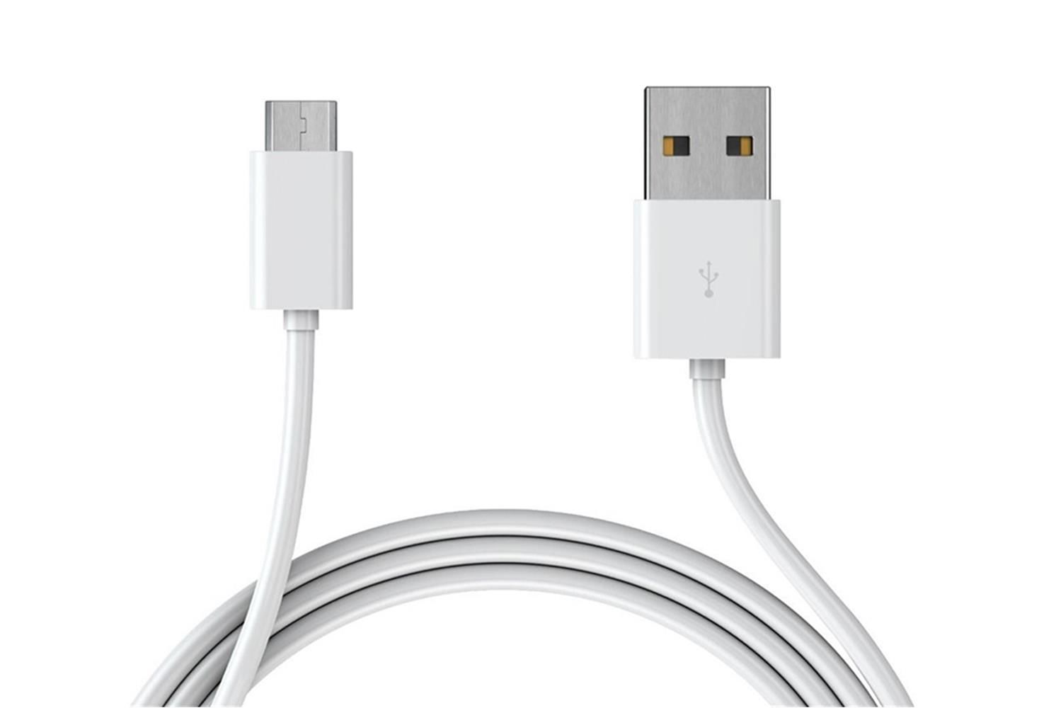 Dataline CT-08 2.4A Type-C 1m Hızlı Data ve Şarj Kablosu