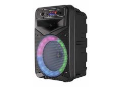 Mikado MD-125KP 40W USB-BT-TF-TWS LED Işıklı Kablosuz ve Kafa Mikrofonlu Toplantı-Parti Hoparlör
