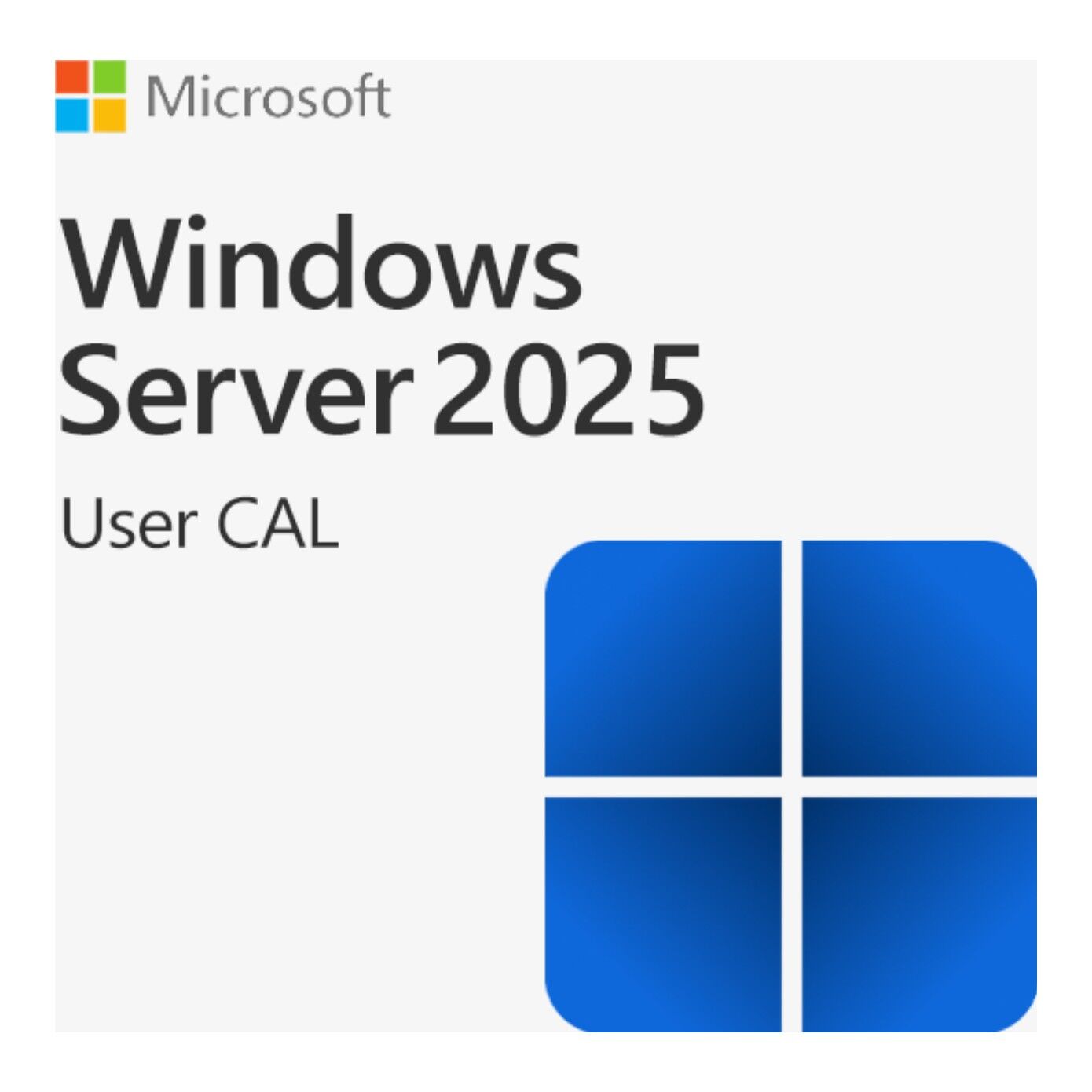 Windows Server 2025 - 1 User CAL