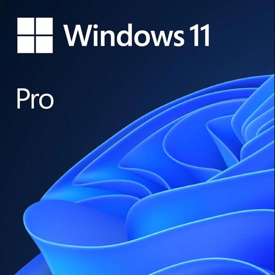 Microsoft Windows 11 Pro TR Kutu HAV-00159