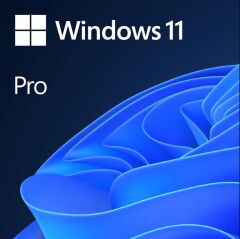 Microsoft Windows 11 Pro TR Kutu HAV-00159
