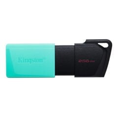 Kingston 256GB DataTraveler Exodia M USB 3.2 Gen 1 Flash Bellek (DTXM/256GB)