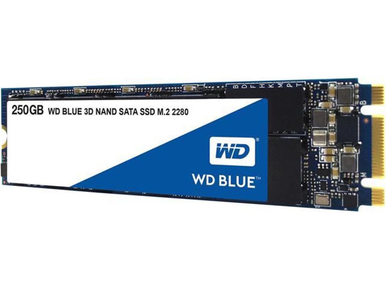 WD 250GB Blue M.2 SATA SSD (550MB/s Okuma - 525MB/s Yazma) (WDS250G2B0B)
