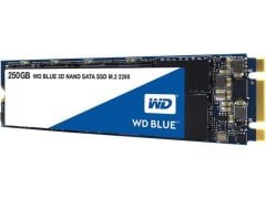 WD 250GB Blue M.2 SATA SSD (550MB/s Okuma - 525MB/s Yazma) (WDS250G2B0B)