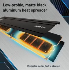 Crucial Pro 16GB DDR5 6000MT/s CL48 (1.1V) Soğutuculu Masaüstü RAM (CP16G60C48U5)
