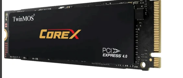 TwinMOS 1TB NVCX1TBG42280 M.2 NVMe PCIe Gen4 x4 5000/4800MB/s Soğutuculu SSD