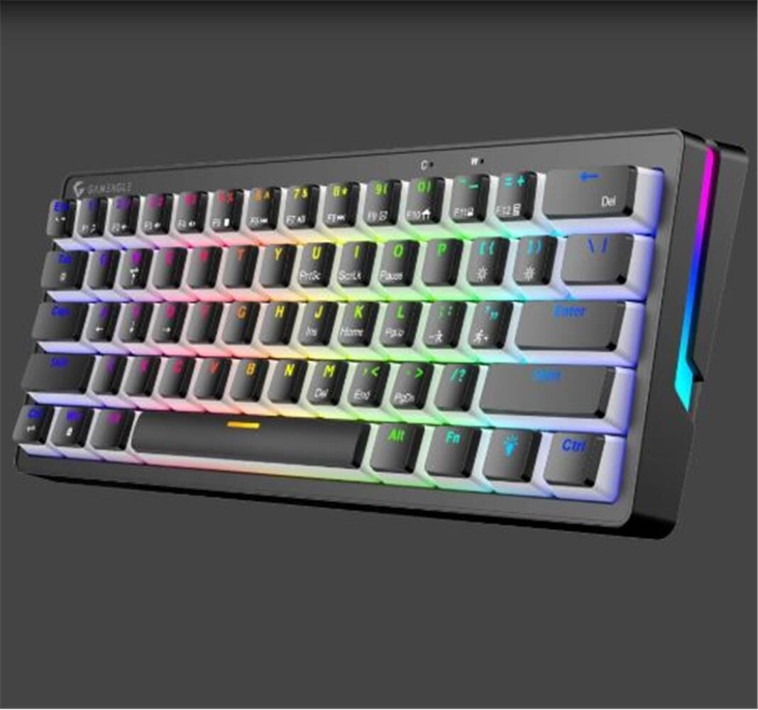 Gameagle Poseidon GE2014 RGB Kablolu US Layout Mekanik Siyah Oyuncu Klavyesi