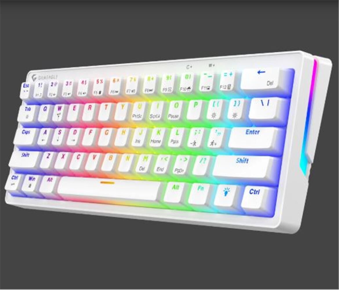 Gameagle Poseidon GE2015 RGB Kablolu US Layout Mekanik Beyaz Oyuncu Klavyesi