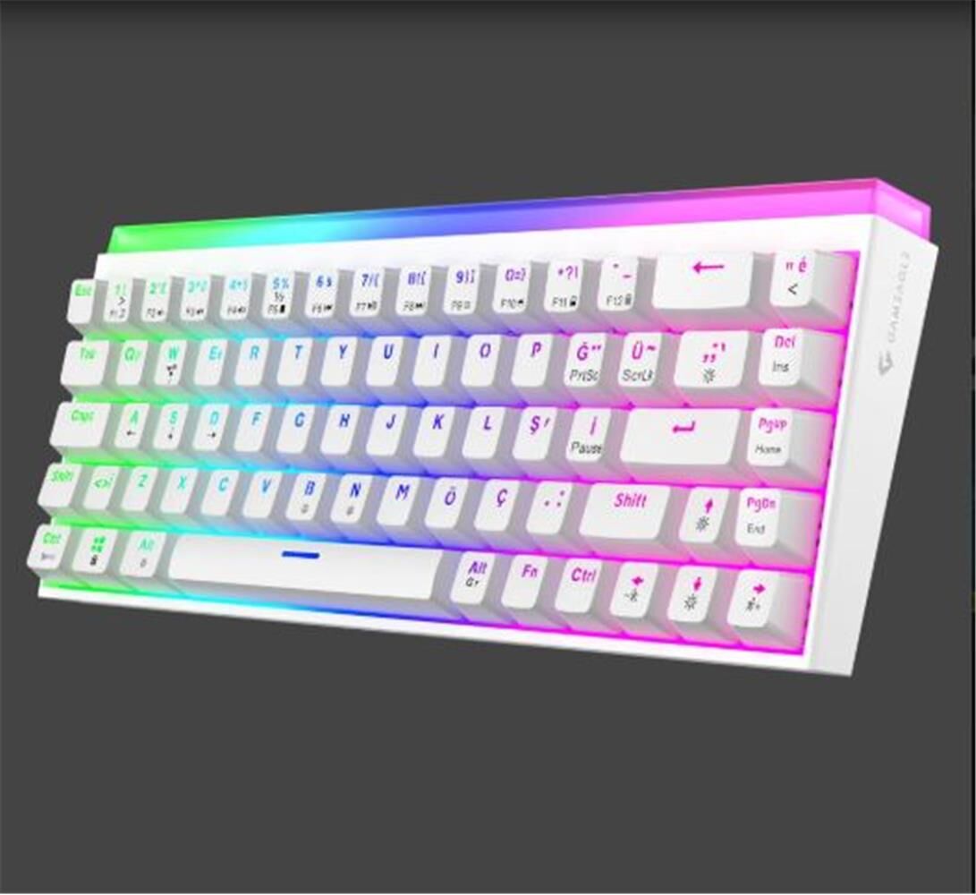 Gameagle Hera GE2019 RGB Kablolu Türkçe Layout Mekanik Beyaz Oyuncu Klavyesi