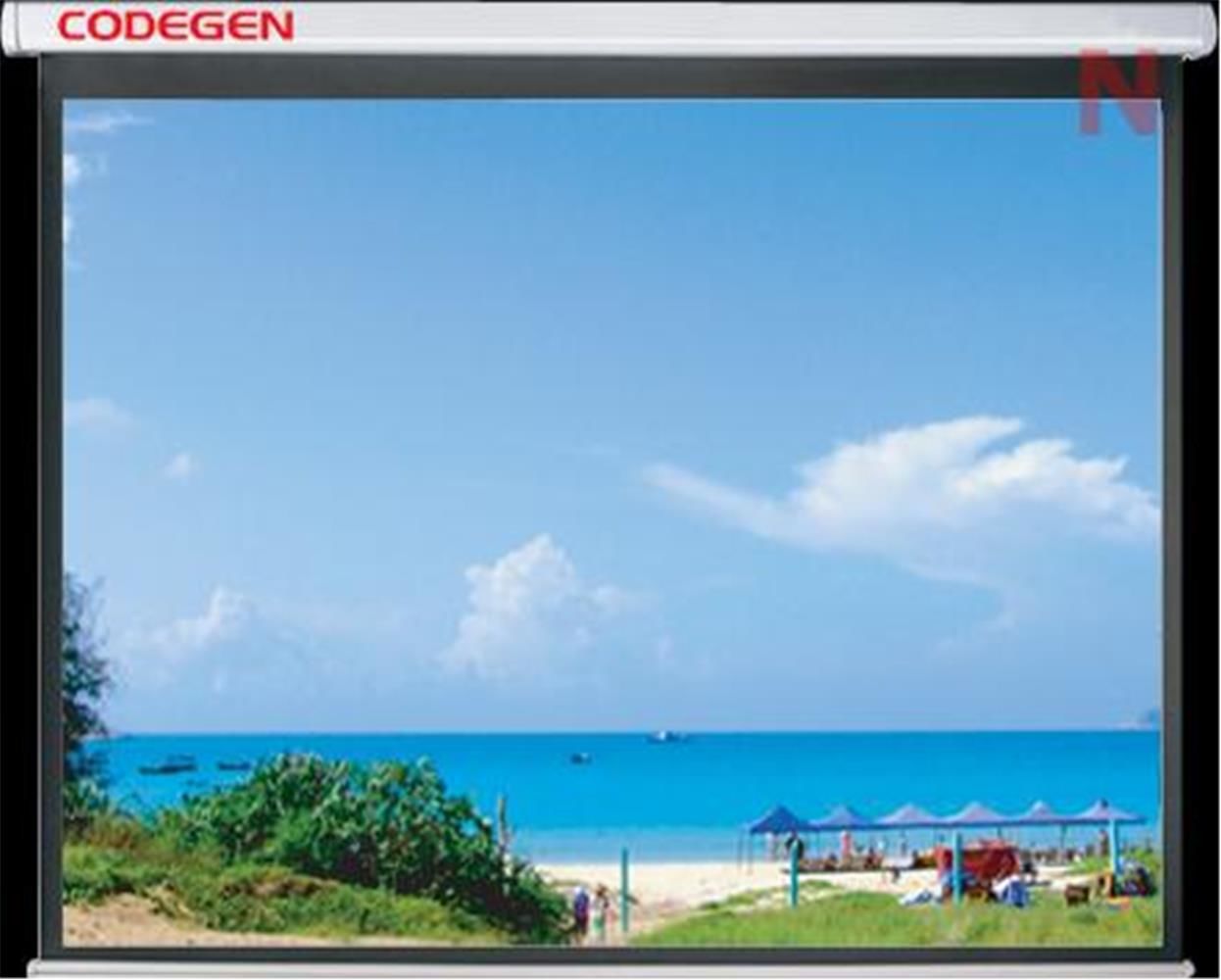 Codegen EX-24 240x200 Motorlu Uzaktan Kumandalı Projeksiyon Perdesi