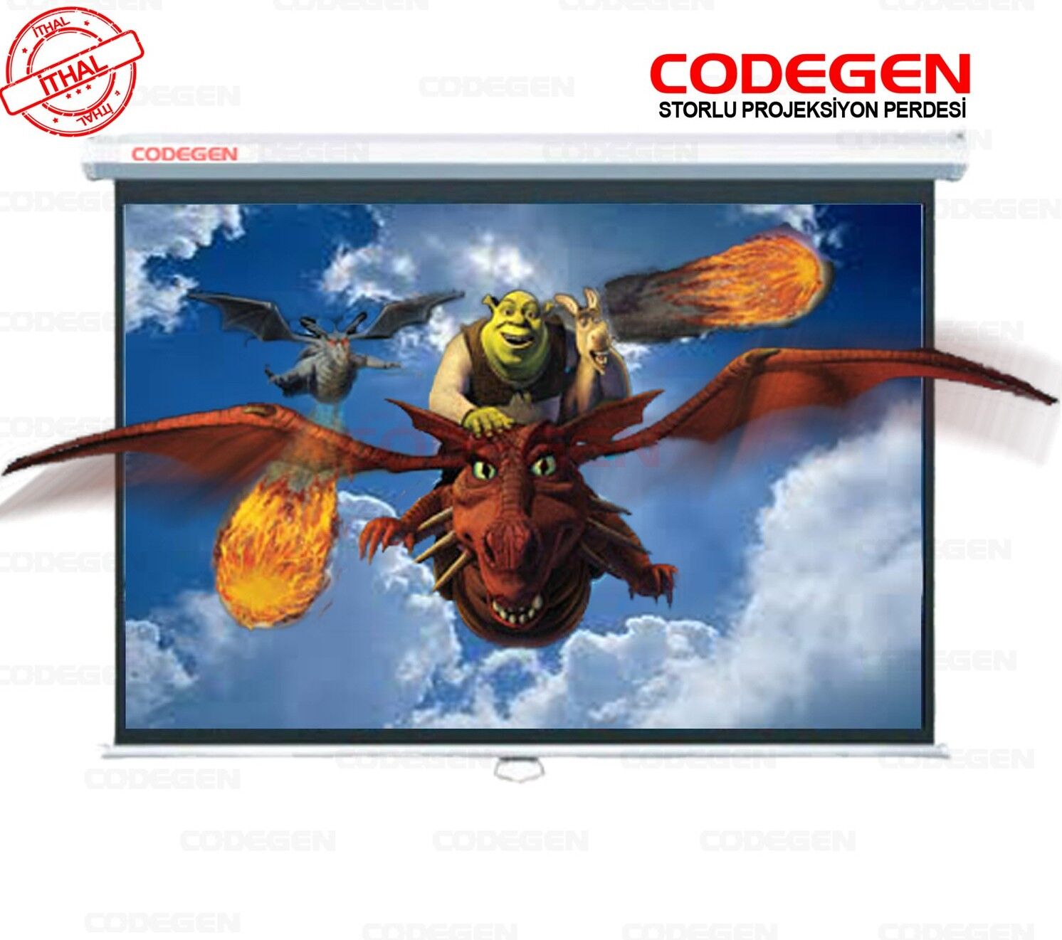 Codegen AX-20 200x200 cm Storlu Manuel Projeksiyon Perdesi