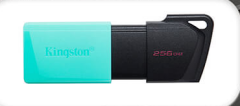 Kingston DataTraveler Exodia M 256GB USB 3.2 Gen 1 Flash Bellek DTXM/256GB