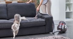DYSON Cinetic Big Ball Absolute 2 700W Süpürge