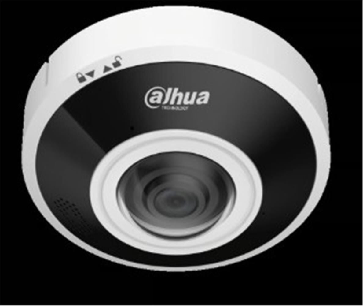 Dahua IPC-EBW5641-AS WizMind 6MP H.265+ 1.68mm Sabit Lens 180° Panoramik IK10 IP67 Fisheye Network Kamera