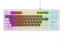 Everest KB-98 SILENT TKL Gri/Mavi/Beyaz Rainbow Aydınlatmalı Sessiz Q Membrane Klavye