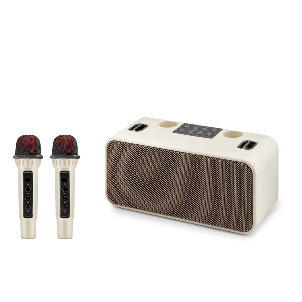 Hadron 186PRO Beyaz Bluetooth 20W Karaoke 2 Mikrofonlu Taşınabilir Speaker 288x121.5x136mm