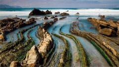 Lenovo ThinkCentre Neo 50a Gen 5 (12SCA079TR) All-in-One - Intel Core i5-13420H 16GB RAM 512GB SSD 23.8'' FHD FreeDOS