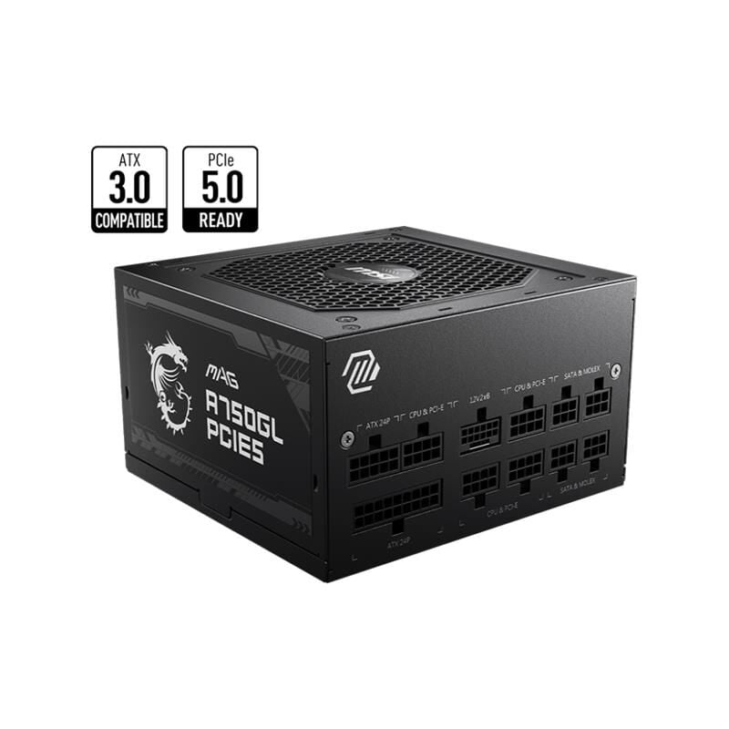 MSI MAG A750GL 750W 80+ Gold Güç Kaynağı PCIe 5.0