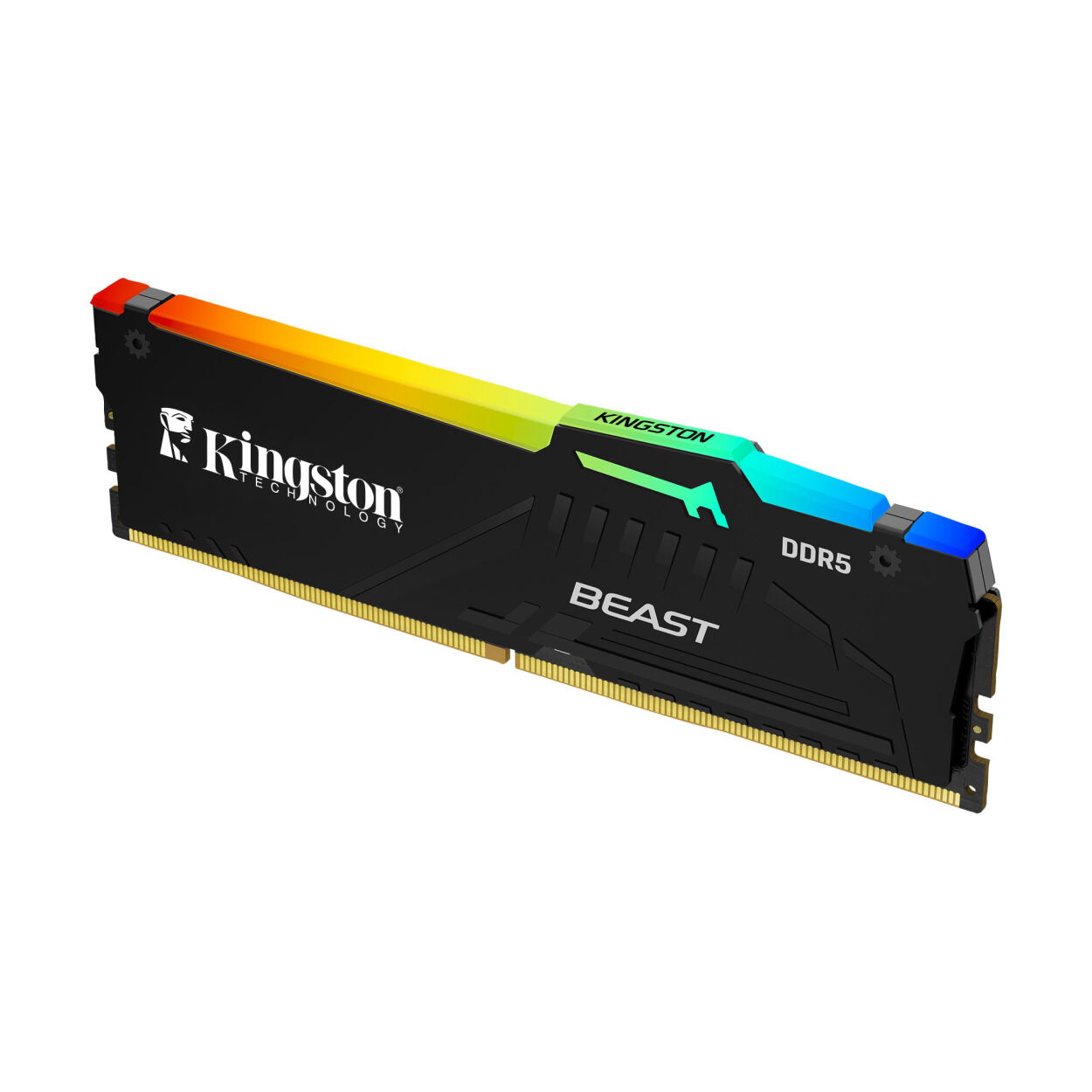 KINGSTON Beast RGB Expo 64GB(32x2) DDR5 6400MHz CL40 Soğutuculu PC Performans Ra