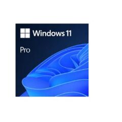 Microsoft Windows 11 Pro 32/64 Bit TR & EN ESD FQC‑10572 – Elektronik Lisans | 1 PC İçin Profesyonel Özellikli İşletim Sistemi
