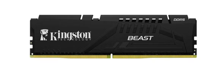 Kingston Fury Beast Black EXPO KF556C36BBE-16TR 16GB DDR5 5600MHz CL36 DIMM Gaming RAM