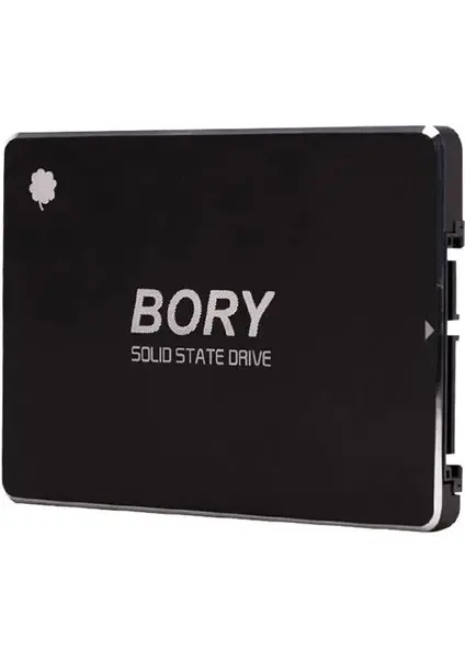 256 GB BORY SATA3 R500-C256G SSD 550/510 MBS (3 YIL GARANTİLİ)