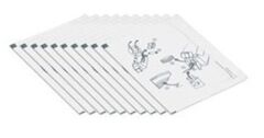 Entrust 552141-002 DS1- DS2- DS3 Temizleme Kiti