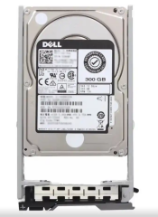 DELL 300GB 2.5'' 10K RPM 12G SAS Enterprise HDD Hot Plug Sunucu Diski (Kızak Dahil)