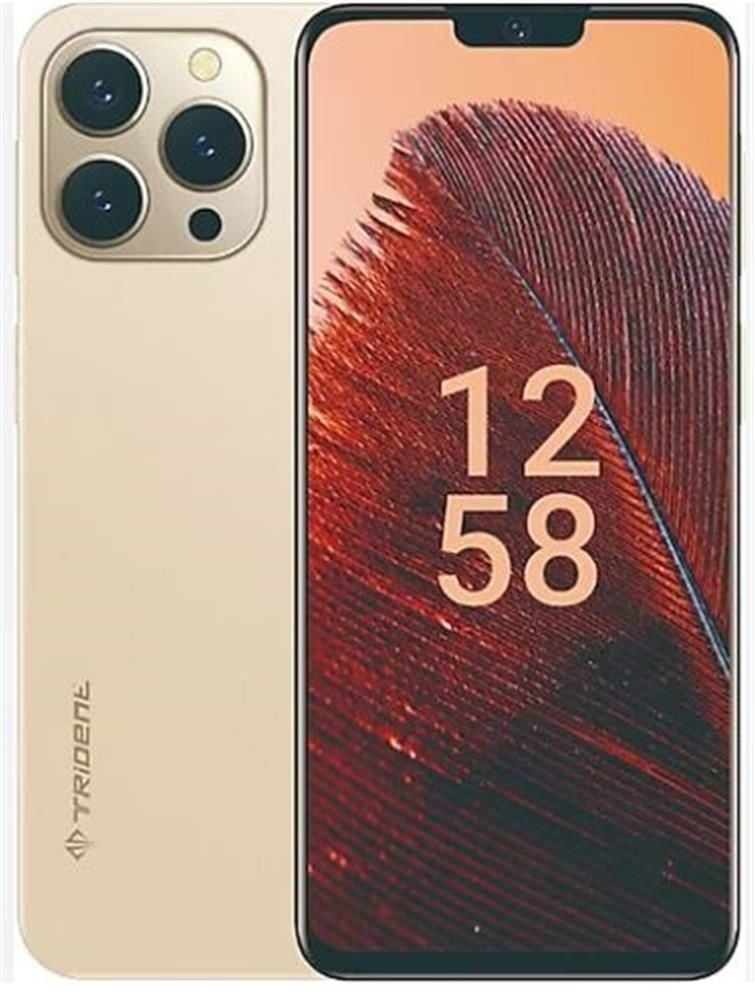 Trident A55 128 GB Hafıza 6 GB RAM 6.52 inç Gold Cep Telefonu
