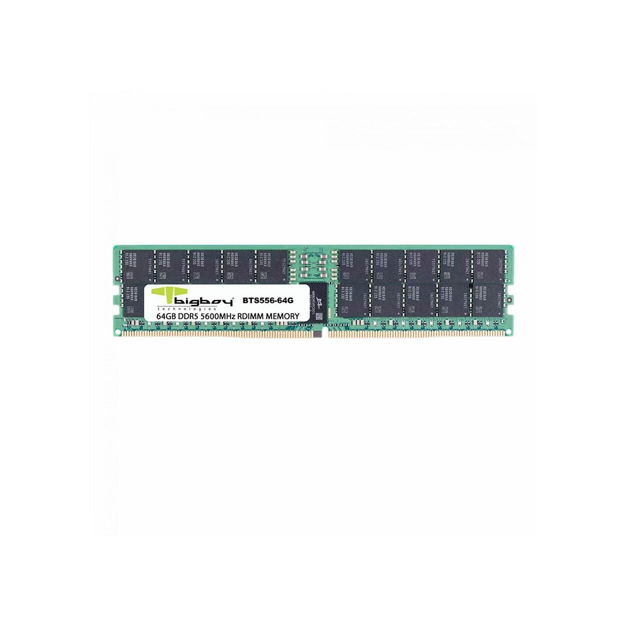 Bigboy 64GB DDR5 5600MT/s CL46 Registered ECC 2Rx8 Sunucu Rami (B56R46B8/64G)