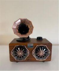 Everton RT-744 Bluetooth FM/USB/TF Kart/AUX Destekli Şarjlı Nostaljik Radyo