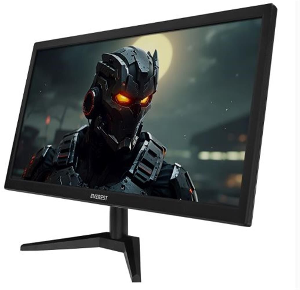 Everest M665 19.5'' HD+ 1600x900 75Hz 5ms VGA HDMI LED Monitör
