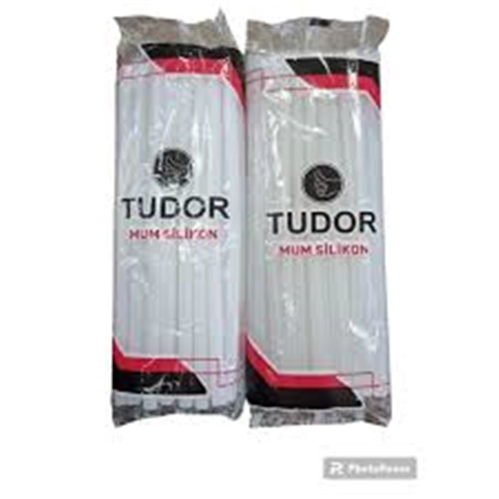 Tudor Macrofix İnce Tip Şeffaf Mum Silikon Yapıştırıcı 1 KG (7.2 mm)
