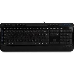Everest KB-2900 Siyah USB Q Multimedya Klavye
