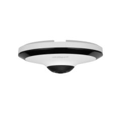 Dahua IPC-EW5541-AS 5MP WizMind Panorama Balıkgözü (Fisheye) IP Kamera